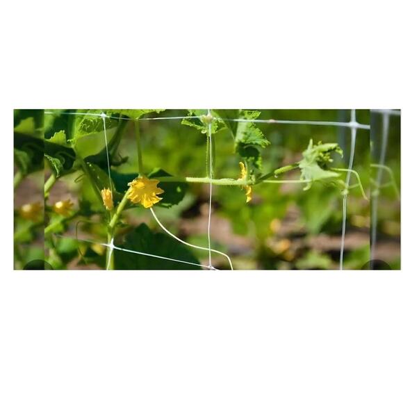 Climbing Garden Heavy-Duty Trellis Net 4x328ft Roll, 6" netting - Picture 8 of 8